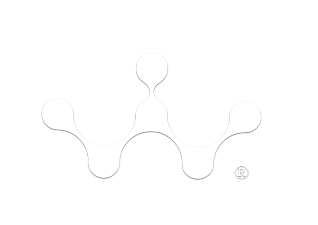 WebScout Coaching Logo